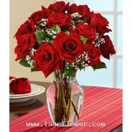A Vase of 12 Red Roses